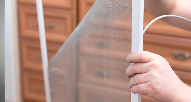 Privacy Mesh Screen Door Installation in Jasmine Estates, FL