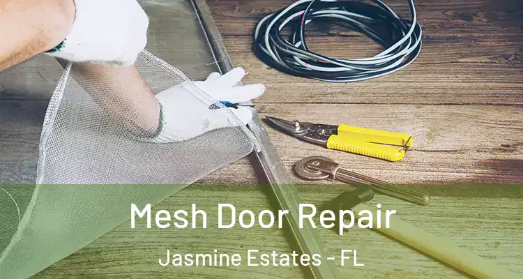  Mesh Door Repair Jasmine Estates - FL
