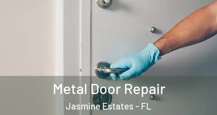  Metal Door Repair Jasmine Estates - FL