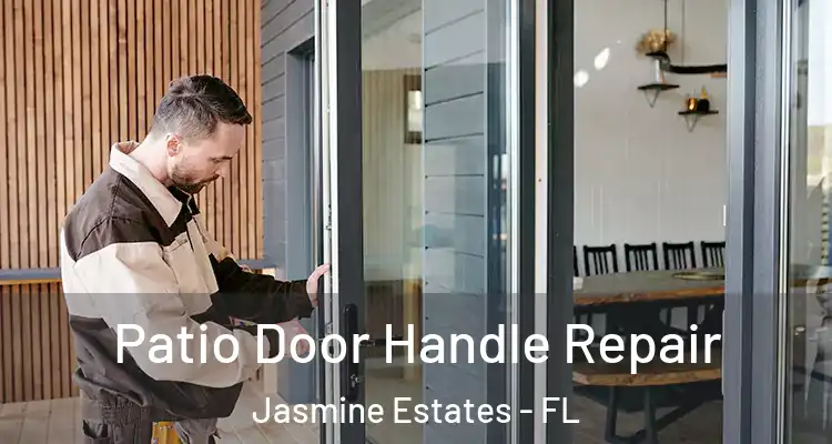  Patio Door Handle Repair Jasmine Estates - FL