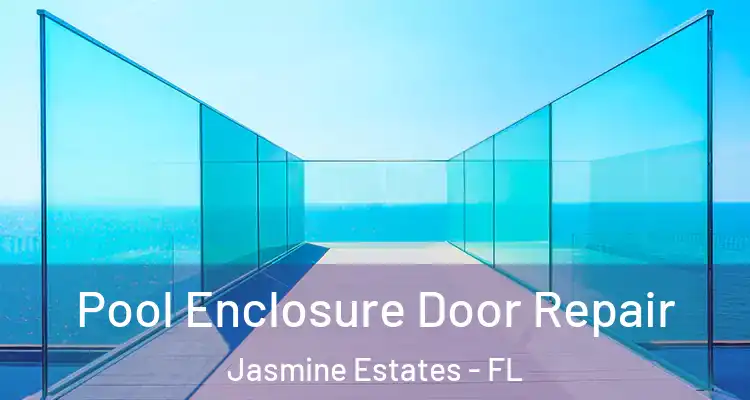  Pool Enclosure Door Repair Jasmine Estates - FL